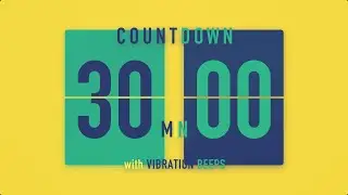 30 Minutes Flip Clock Timer / With Vibration Beeps ⚡️