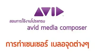 AVID MediaComposer การทำเซนเซอร์ เบลอจุดต่างๆ