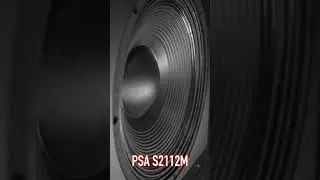 Power Sound Audio 21