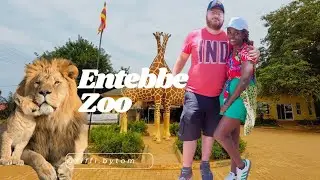 Taking my LDR Fiancé to Entebbe Zoo for the first time 🇺🇬🇺🇸
