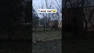вечерний ритуал перед сном
