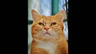Adobe Photoshop 2025 Tips - Clone Stamp Tool 