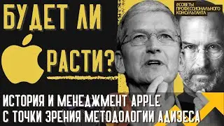APPLE: HISTORY AND MANAGEMENT in terms of Adizes methodology