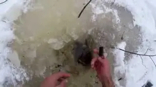 Ловля налима зимой на  малых речках на жерлицы,видео rybachil.ru