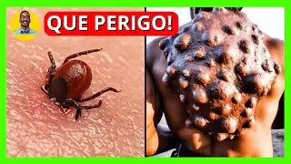 20 Deadly Insects You Don't Want to Mess With