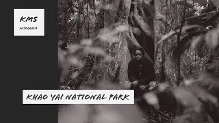Khao Yai National Park