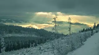 Рассвет Светлого Мира