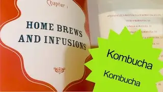 In Hand Review of Kombucha Revolution - 75 Recipes