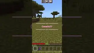 САМАЯ РАСПРОСТРАНЕННАЯ ОШИБКА В MINECRAFT #minecraft #shorts
