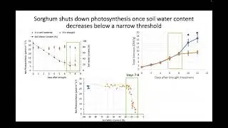Cheng Zhao, Chinese Academy of Agricultural Sciences. Building a multi-scale metabolic model to...