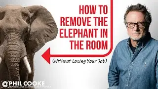 How to Remove the Elephant in the Room (Without Losing Your Job)