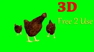 3d hen cock animal green screen effects free blender 2.8