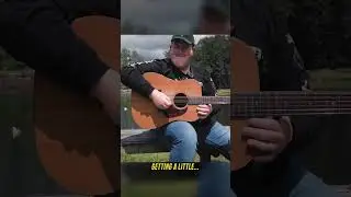 Jake Eddy Flatpicks For Tina The Duck