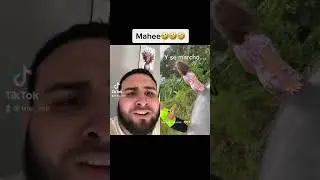 Se fue firulais 😂🤣🤣😂