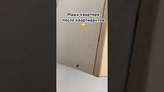 Вы оставили за собой такую грязь?