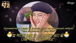 [RUS SUB / РУС САБ ] Dingo mukbang EP. 1 Stray Kids мокбан