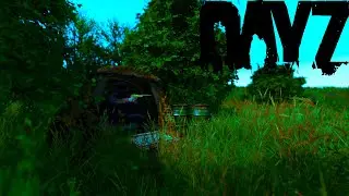 Зарейдили лесную базу подсадкой - Dayz