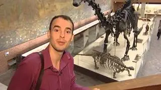 Палеонтологический музей: 41 из 50 чудес Москвы