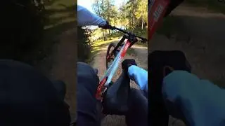 Best MTB Bikepark Line 🥰🤩 #mtb #bike #bikelife #ridemtb #freeridemtb #bikepark #bikelove