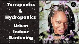 Urban Indoor Gardening: Terraponics and Semi Hydroponics for Beginners!