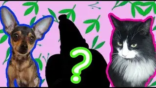 Няня, ВОЗВРАЩЕНИЕ! Идем в школу?