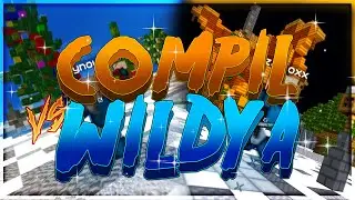 複数の暗殺 (wildya)