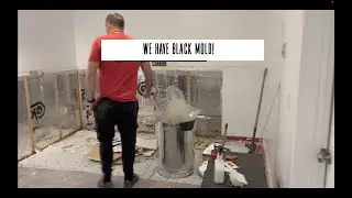 OUR BASEMENT HAS BLACK MOLD!!!