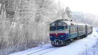 A diesel train with a gray beard runs through the snow on a sunny frosty day