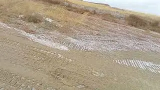 Ам жалау ❤️ боран күнгі қотақ сору