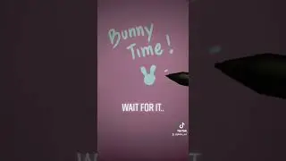 Overwatch Bunny Girls 