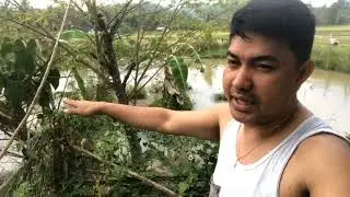 PALIGUAN NG MGA PATO| SWIMMING POOL AREA