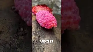 Do this with these eggs 🥶