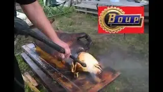 Обработка свиньи каршером