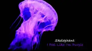 Skelephant - I Feel Like I'm Purple (Full Album)