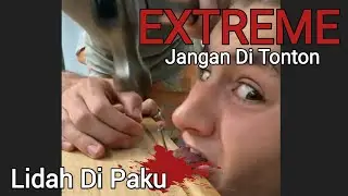 Jangan Ditonton Kalau Takut #crazy #hiburan #extreme #kings99