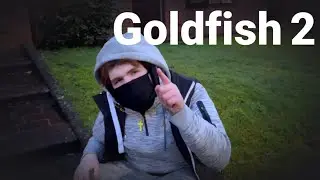 Goldfish 2 | Official Music Video