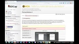 REDCap Data Import Tool