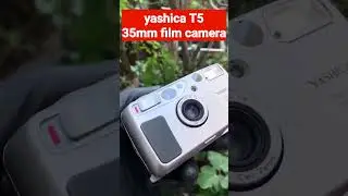 yashica T5 35mm film camera Carl zeiss lens #yashica #yashicacamera #yashicat5 #t5 sage salut #zeiss