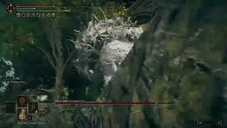 how the Elden Ring DLC is going