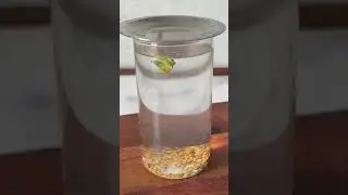 Morning Drink Recipe | Healthy Methi Seeds Water for Weight Loss