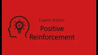 Positive Reinforcement