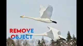 TUTORIAL PHOTOSHOP: Remove Objek/Manipulation Photoshop Tutorial 2022 #gregocreation  #wairumbiavlog