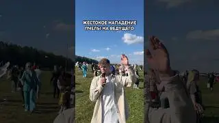 Нападение Пчелы на ведущего #юмор #ведущий