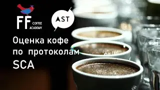Протокол и стандарты оценки кофе от Speciality Coffee Association