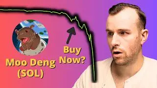 Buy The Moo Deng Crash? ☢ Moodeng Crypto Token Analysis
