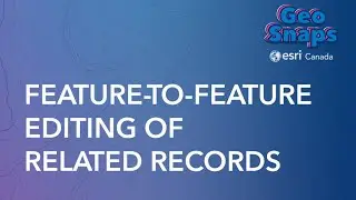 Feature-to-Feature Editing of Related Records