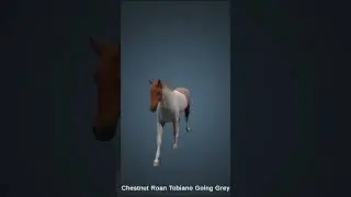 Make your own beautiful horse in @AstrideGame