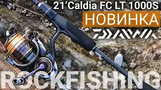 Испытание НОВИНКИ - DAIWA 21'Caldia LT! Утренний выход на побережье