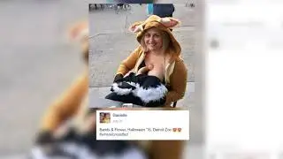 Where Have You Breastfed?