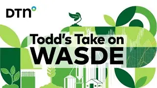July 2024 WASDE Report